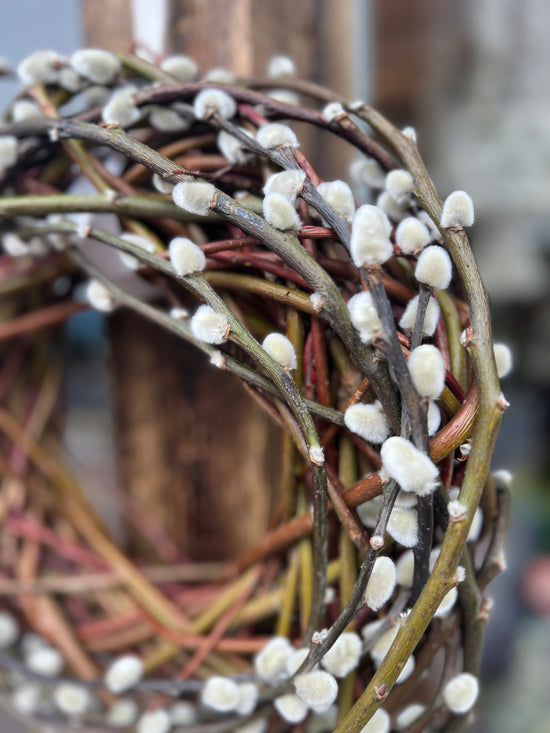 Weidenkätzchenkranz