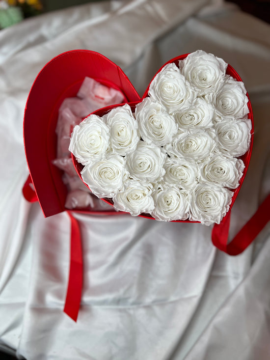 Abigail Rosenbox mit Raffaello