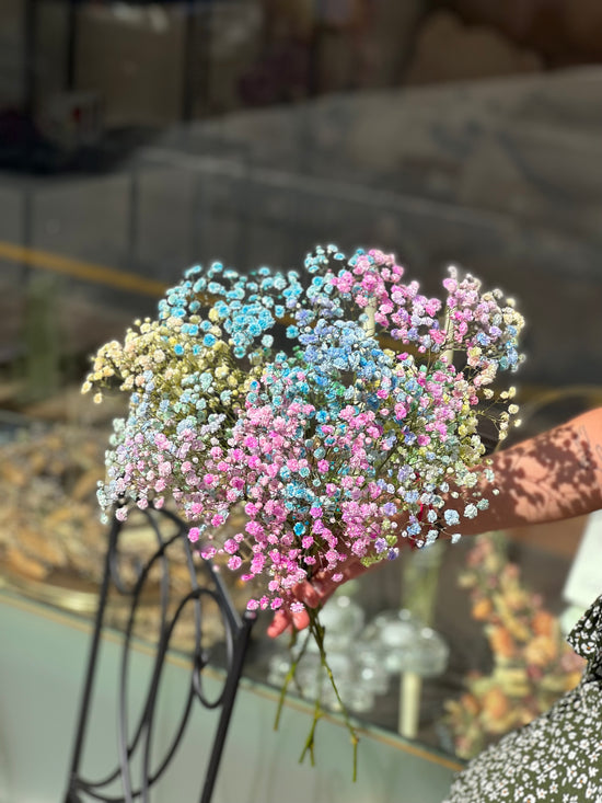 Regenbogen Schleierkraut